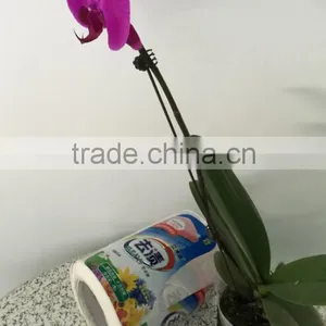 Low Price and High Quality Daily Products Labels Printing Adhesive Daily Stickers thumbnail-3