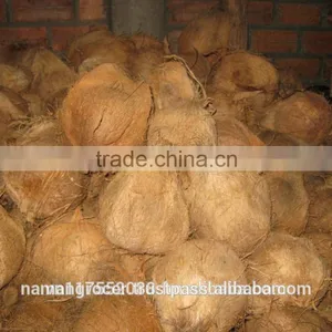 Semi Husked Coconut, Mature Coconut, Fresh Coconut thumbnail-3