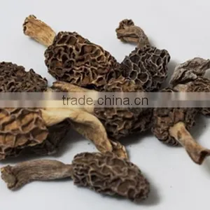 Dryied Morels Dried Morels Mushroom Dried Mochella thumbnail-3
