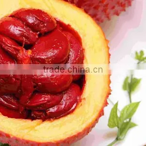 Anti-Wrinkle,Anti-Puffiness,Firming,Dark Circles,Anti-Aging, Remove Melasma Feature From Gac Fruit Oil thumbnail-3