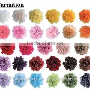 Pretty Hydrangea Preserved Flowers With Various Species thumbnail-4