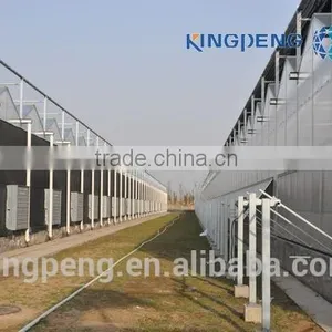 Multi Span Glass Greenhouse for Tomato Production thumbnail-2