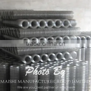 Electro Galvanized Welded Mesh thumbnail-3