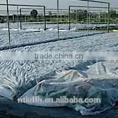 Agriculture Cover pp Spunbond Non Woven thumbnail-5