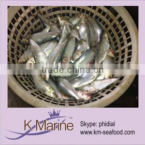 IPO Sardine Fish thumbnail-1