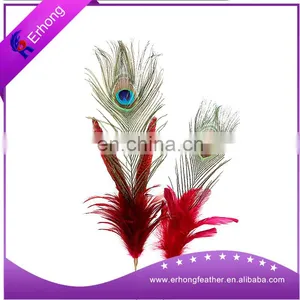 Factory Wholesale High Quality Big Eye Natural Peacock Feathers thumbnail-1