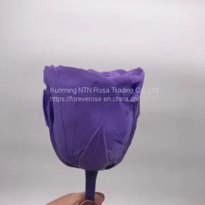 Preserved Fresh Roses Flower for Home Decoration thumbnail-1