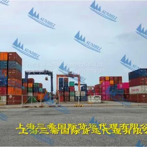 Shanghai to Dar es Salaam Sea Freight FCL EAF Line Logistics Service thumbnail-4