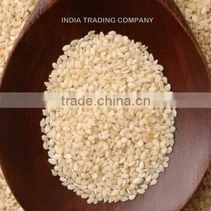 HULLED SESAME SEEDS PREMIUM 99.98% thumbnail-1