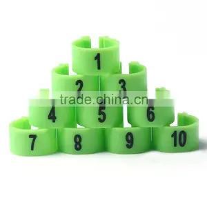 Colorful Pigeon Ring thumbnail-1