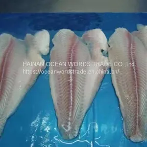 Frozen Pangasius Fillets, (pangasius Hypophthalmus) , Filete De Basa, Basa Rojo, Blanco thumbnail-1