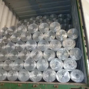 Galvanized Welded Wire Mesh Weldedwiremesh Chickenwirenetting Wire Netting Poultry Fence Poultrymesh Welded Wire Black Wire Black Welded Weldwire thumbnail-3