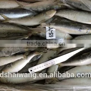 Landing Frozen Sardine Fish With Size 150 - 190 Pcs / 10 kg thumbnail-4