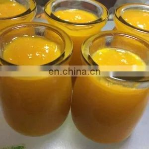 Small Mango Jam Processing Line Mango Jam Production Line thumbnail-2