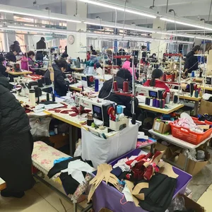 Fisav Cheer Sports Co.,ltd company overview - view 1 thumbnail