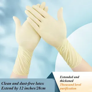 Latex Gloves thumbnail-4