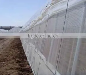 HDPE 100% Virgin Raw Material Anti Insect Net/Greenhouse Insect Proof Nets thumbnail-5
