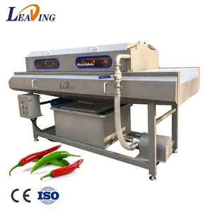 Commercial New Condition Potato Dry Cleaning Machine Fruit Vegetables Continuous Brushes Vegetable Processing Plant Farm thumbnail-4