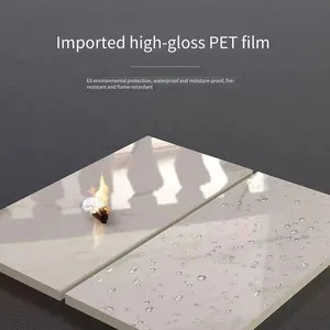 Xindishu Fish-belly White High-gloss Precision-printed Background Wall, a Popular Internet Product From the Source Manufacturer thumbnail-3