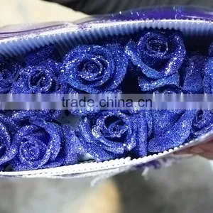 Beautiful Best-Selling Blue Flowers Roses thumbnail-2