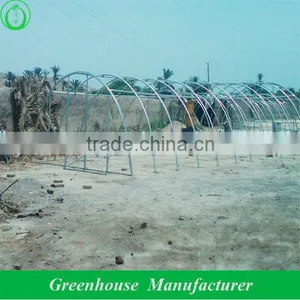 Agricultural Poly Plastic Greenhouse thumbnail-1