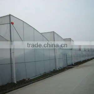 Gutter Connected Greenhouse thumbnail-2