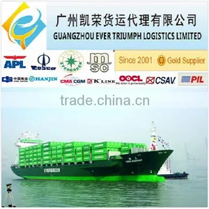 DDU DDP Sea Freight From China to Hamburg (20/40ft Shipping Container) thumbnail-1