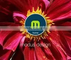 Website Design Brochure Design, Catalog Design, Ad Design-Graphic Design Ecommerce Website Design and Development thumbnail-1