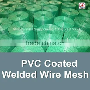 China Facotry Green Color Epoxy Coated Wire Mesh thumbnail-1