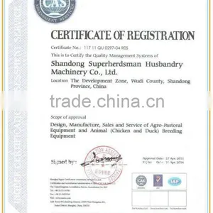 High Quality Automatic Poultry Farming Equipment thumbnail-4