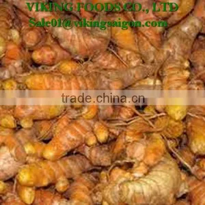 VIETNAM FRESH TURMERIC GOOD QUALITY, COMPETITIVE PRICE thumbnail-4