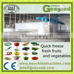 IQF Tunnel Instant Freezer thumbnail-1