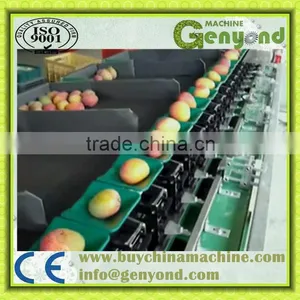 Automaitc Apple Weight Sorting Machine thumbnail-1