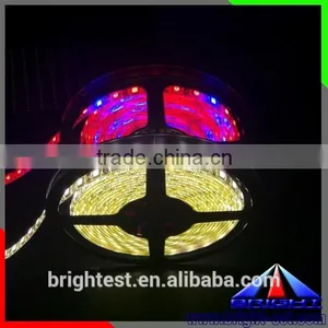 Shenzhen LED Grow Light Strip12V DC,Ws2812 5050 Led Strip Led Plant Grow Light Strip thumbnail-2