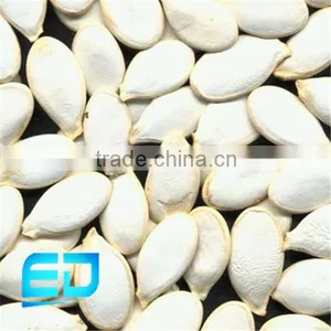 Raw Pumpkin Seed thumbnail-1