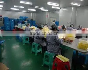 Taizhou Huangyan Huixuan Plastic Factory company overview - view 3 thumbnail