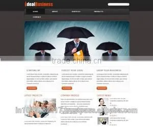 Responsive Website Designing Services India thumbnail-2