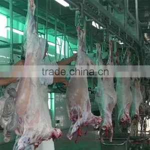 Humane Islam Mutton Slaughter System for Mutton Slaughterhouse thumbnail-5