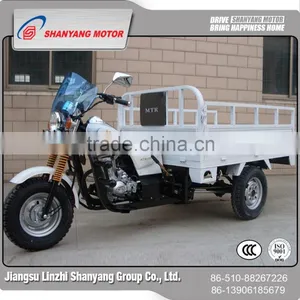 China Made 150cc Adult Tricycle / Cargo Three Wheel Motorcycle thumbnail-1