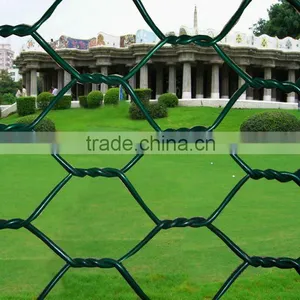 PVC Lowes Chicken Wire Mesh Roll thumbnail-1