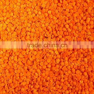 Australian Red Split Lentils thumbnail-1