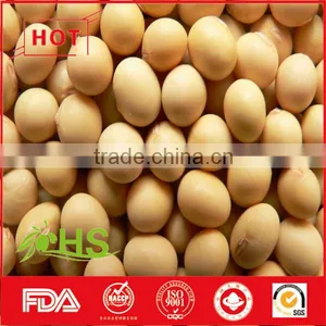 Chinese Dried Cheap Soybeans for Wholesale thumbnail-1