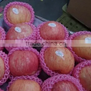 Export Dubai Fuji Apple thumbnail-2