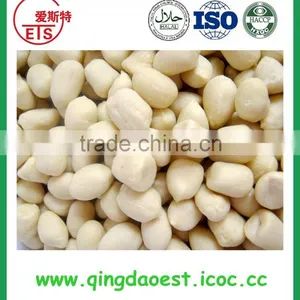 Shandong Groundnut Peanut Kernels in Best Price thumbnail-5