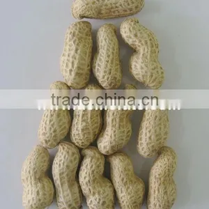 Chinese Peanut Kernels With Shell thumbnail-3