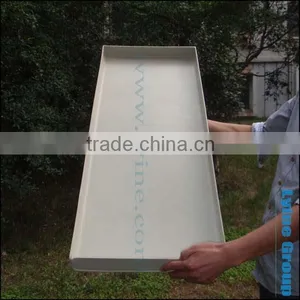 Specialized for Tropical Plant Nursery Seeding Tray thumbnail-1