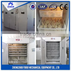 Large Capacity Automatic Egg Incubator / 10000 Chicken Egg Incubator thumbnail-1