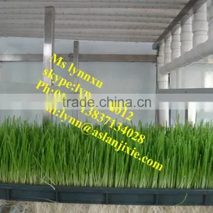 Soyabean Sprouting Machine /automatic Bean Sprout Machine thumbnail-5