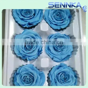 Preserved Flower Wedding Gifts for Guests Preserved Blue Rose Flower thumbnail-5