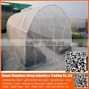 Chinese Factory pe Greenhouse Anti Insect Proof Net , Plastic Vegetable Anti Insect Net , Nylon Agricultural Anti Insect Net thumbnail-1